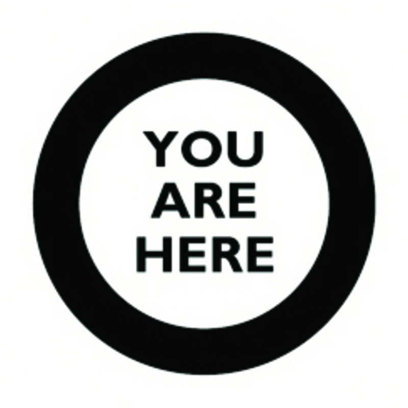 Snezana Petrovic > YOU ARE HERE: Enso in Space video installation and performance